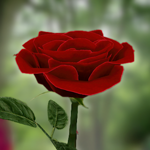 3D Rose Live Wallpaper