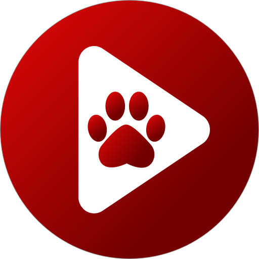 Bear Player - 곰 플레이어 2.20.8 버그판 1 bear player logo
