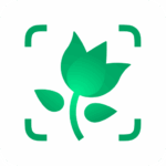 picturethis identify plant logo