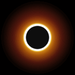 rise habit list logo