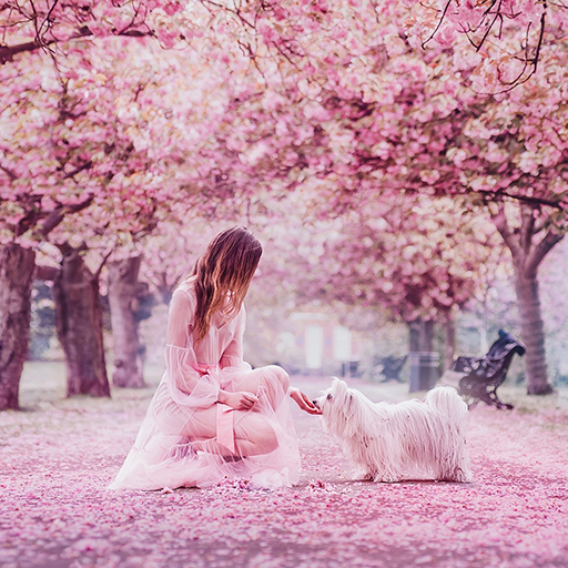 Girly Wallpapers for Girls - 소녀들을 위한 귀여운 배경화면 (프리미엄) 6.0.61 1 wallpapers for girls logo