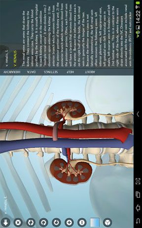 Anatomy 3D Pro – Anatronica  – 아나토로니카 3D 프로 (프로) 2.07 1