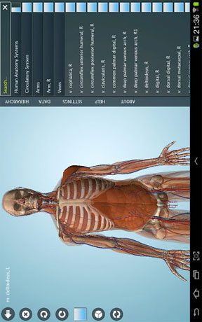 Anatomy 3D Pro – Anatronica  – 아나토로니카 3D 프로 (프로) 2.07 2