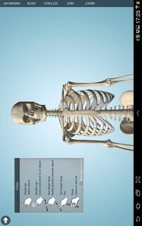 Anatomy 3D Pro – Anatronica  – 아나토로니카 3D 프로 (프로) 2.07 3