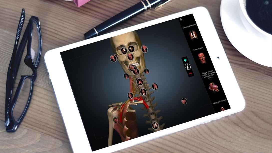 AnatomyLearning 3D OFFLINE – FULL UNLOCKED – 해부학 학습 3D 오프라인 – 전체 잠금 해제 (풀) 2.1 6