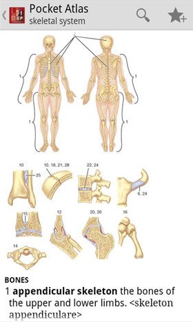 Atlas of Anatomy  – 해부학 아틀라스 4.3.059 3