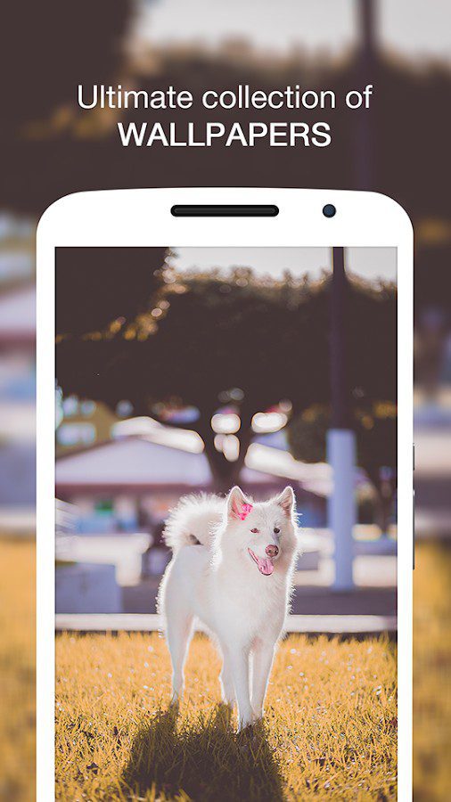 Wallpin HD Wallpapers Pro  – 월핀 HD 배경화면 프로 (프로) 1.0.4 7