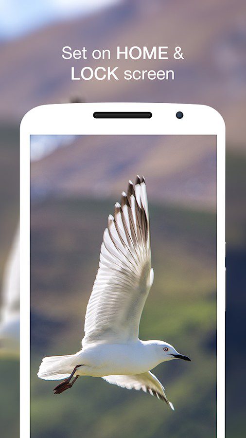 Wallpin HD Wallpapers Pro  – 월핀 HD 배경화면 프로 (프로) 1.0.4 6