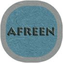 afreen icons apex nova adw go logo