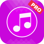 five brothers music player pro logo