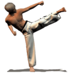 taekwondo forms android logo