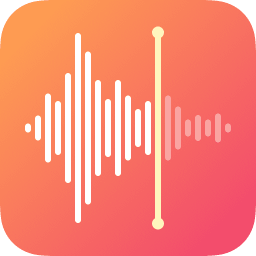 voice recorder logo